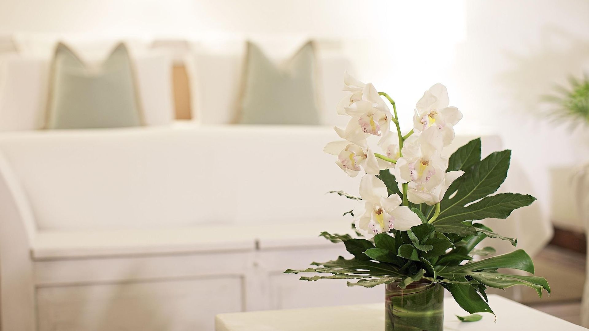 Hotel Casa Belle Boutique Cartagena